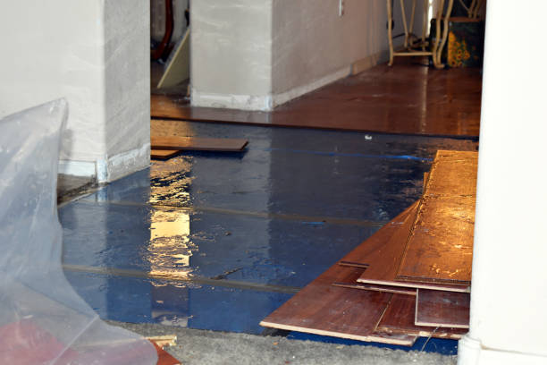 Professional Basement Flood Cleanup technician working in Millington, NJ